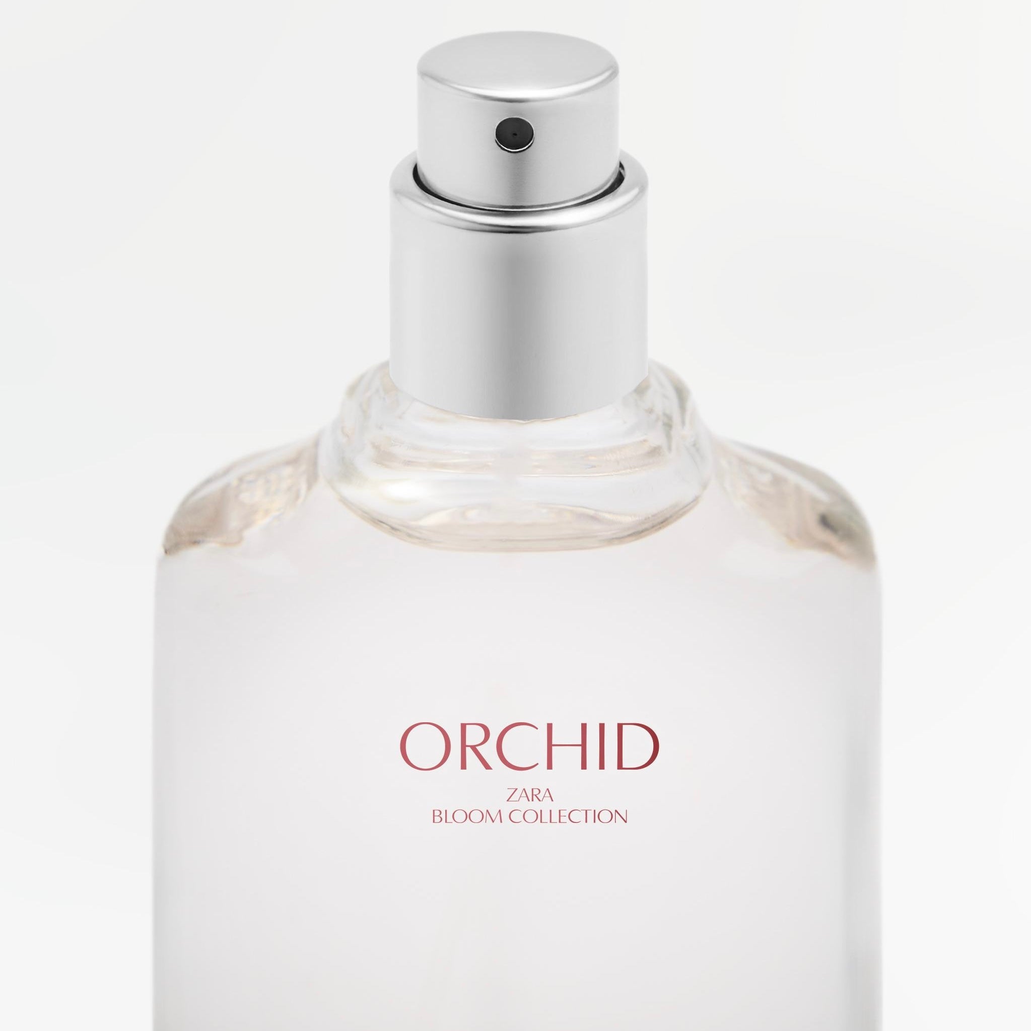 PERFUME ORCHID ref:19211