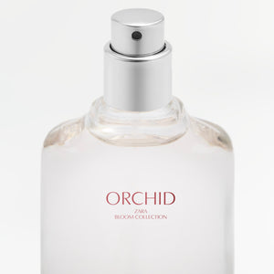 PERFUME ORCHID ref:19211