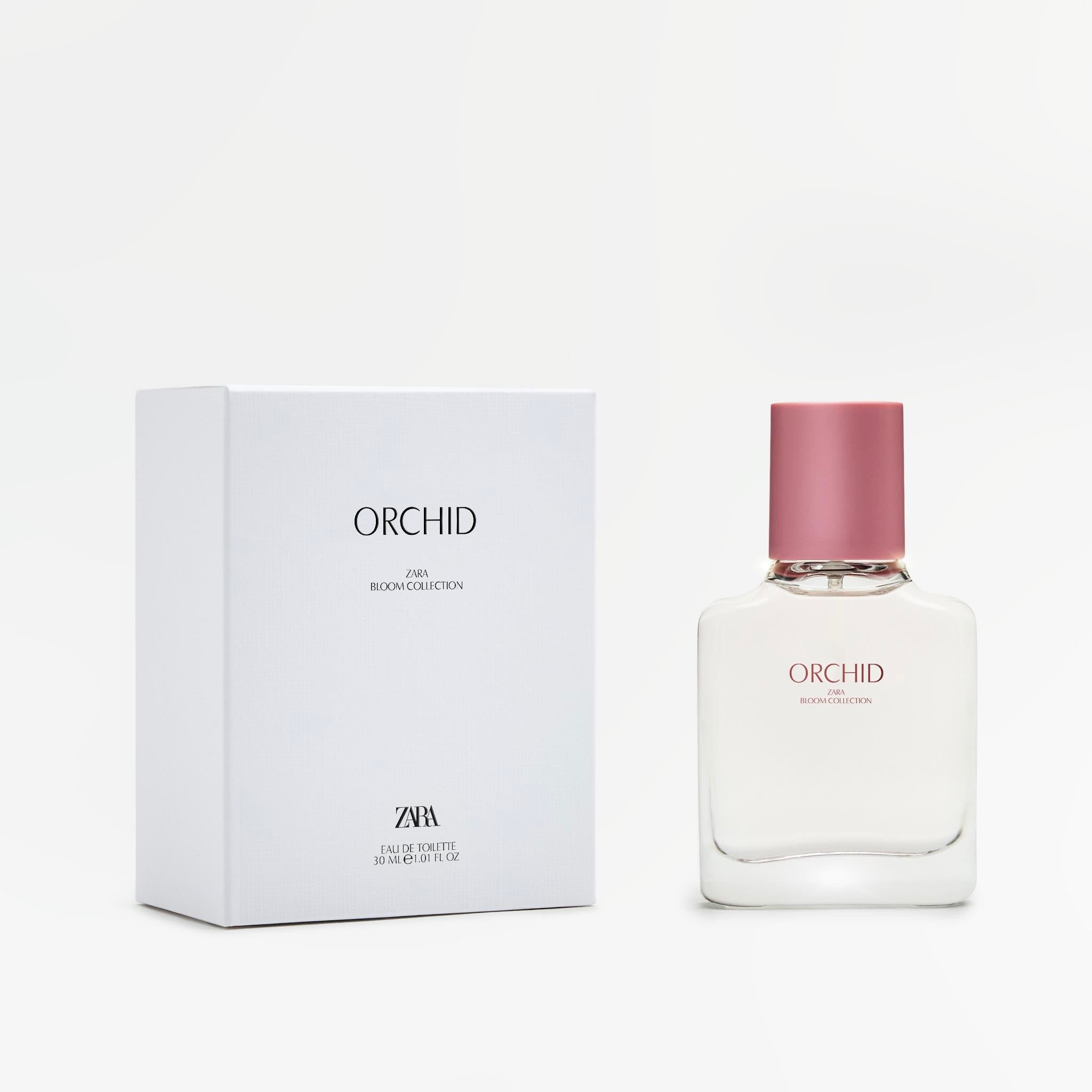 PERFUME ORCHID ref:19211